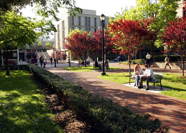rutgersone